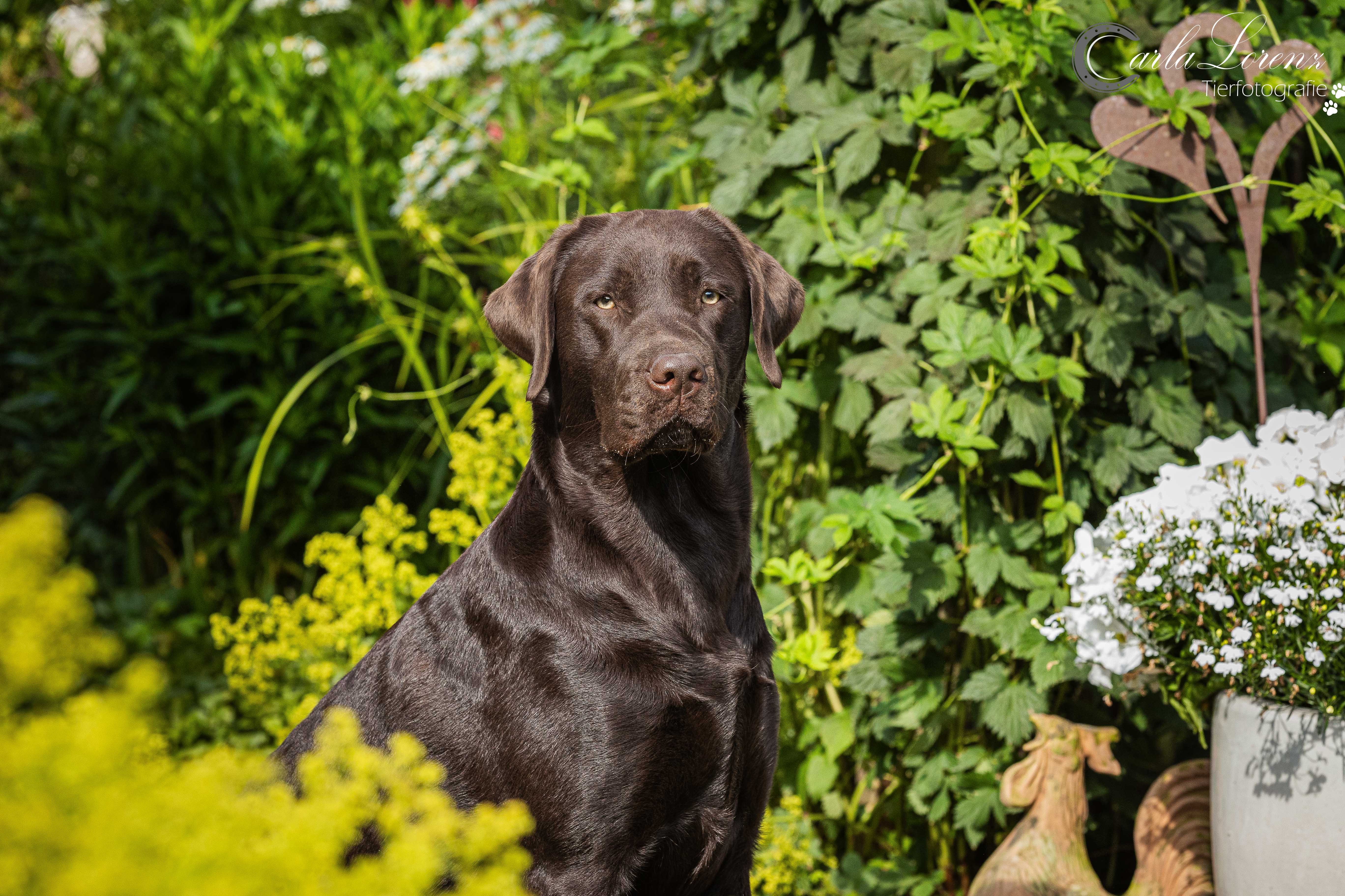 Gretel vom Ebrachtal