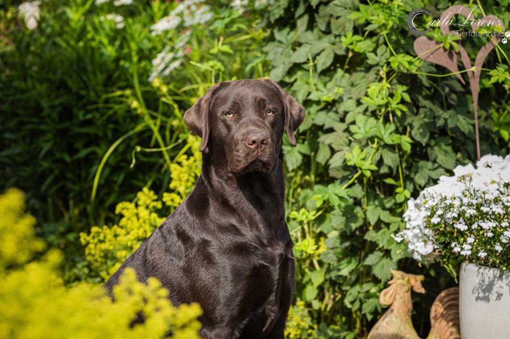 Gretel vom Ebrachtal