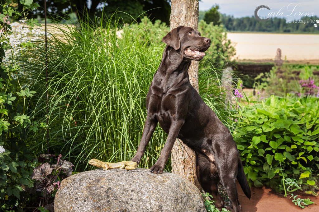 Gretel vom Ebrachtal